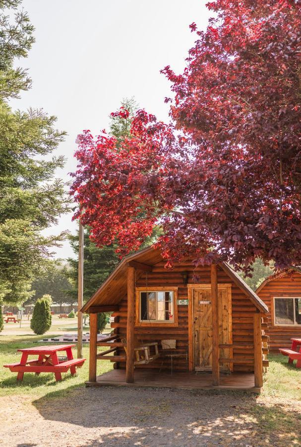 Redwood Coast Cabins And Rv Resort ユーレカ エクステリア 写真